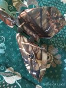 IMG_20200829_114217.jpg