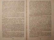 Книга "Секретная служба Гитлера". Блиц.