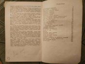 Книга "Секретная служба Гитлера". Блиц.