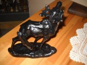 DSCN3738.jpg