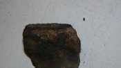DSC01328.jpg