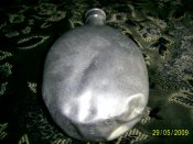 PIC_0089.jpg