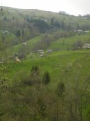 P4200155.jpg
