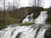P4090300.jpg