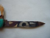 DSC08020.JPG