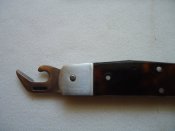 DSC08029.JPG