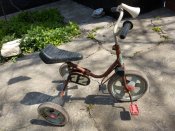 IMG_20200425_110211.jpg