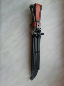 IMG_20200818_060124.jpg