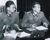 6081943.jpg