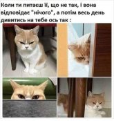 изображение_viber_2020-09-02_06-26-56.jpg