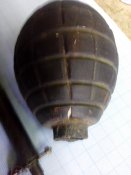 IMG_20200902_071937.jpg