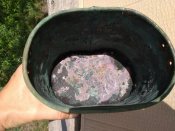 IMG_20200902_151743.jpg