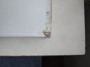 IMG_20200903_071519.jpg