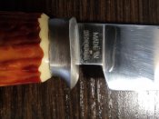 IMG_20200903_102058.jpg