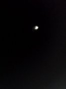 IMG_20200903_185555_957.jpg