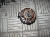 IMG_6591.JPG