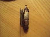 DSC09283.jpg