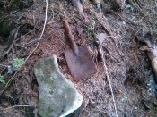 IMG_20200902_163748.jpg