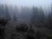 IMG_20200903_101926.jpg