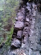 IMG_20200902_174248.jpg