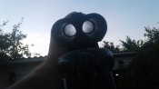 20200729_194312.jpg