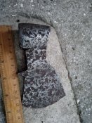 IMG_20200905_064757.jpg