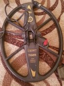 20200829_082719.jpg