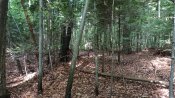 IMG_20200905_110843.jpg