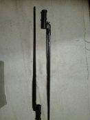 010.jpg
