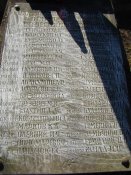 DSC01975.jpg