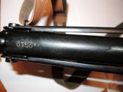 PPS43-1.jpg