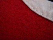 Resize of Resize of DSC00308.JPG