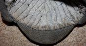 IMG_1631.JPG