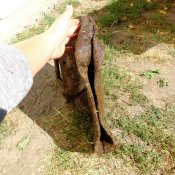 DSCF8715.JPG