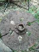 IMG_20200906_100453.jpg