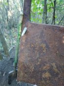 IMG_20200906_165316.jpg