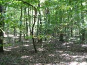 IMG_1126.JPG