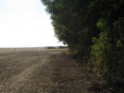 IMG_1129.JPG