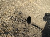 IMG_1131.JPG