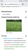 Screenshot_2020-09-06-19-43-52-064_com.android.chrome.png