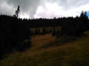 IMG_20200905_120725.jpg