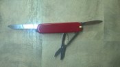 WP_20200906_22_22_47_Pro.jpg