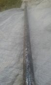 20200907_085153.jpg