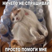 изображение_viber_2020-09-09_10-26-27.jpg