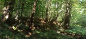IMG_20200909_104031.jpg