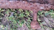 20200908_162649.jpg