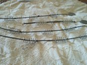 IMG_20200910_132516.jpg