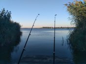 IMG_20200910_182621.jpg