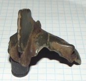 DSCF0385 (Копировать).JPG