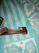 IMG_20200910_232611.jpg